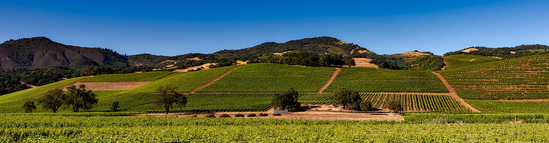 Napa Valley